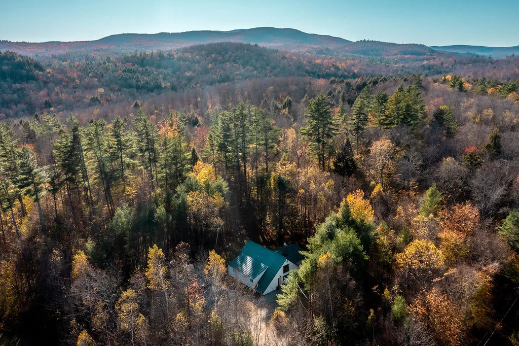 Aerial view of White Birch and the surrounding Vermont forest