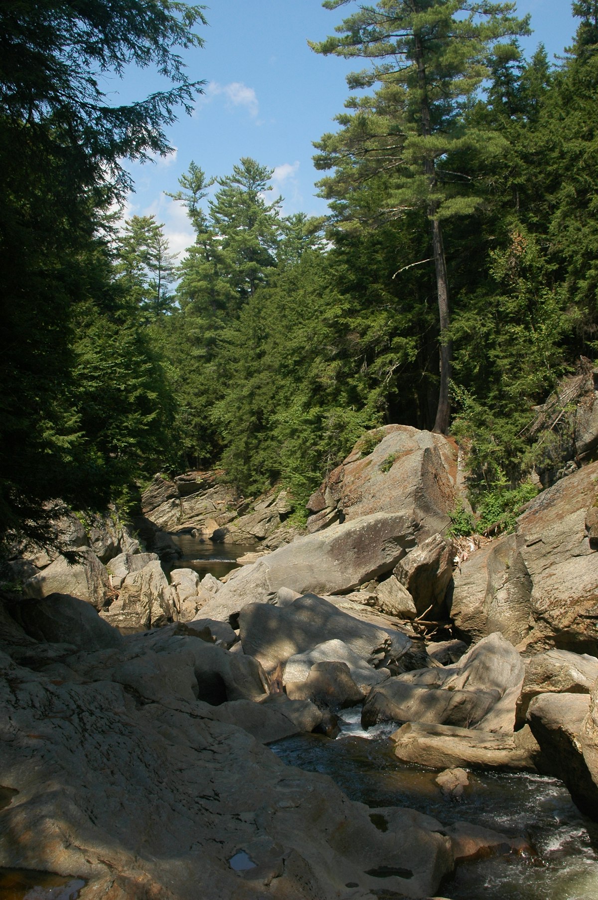 Clear river flowing through lush green forest — similar to the West River swimming holes near Jamaica Vermont