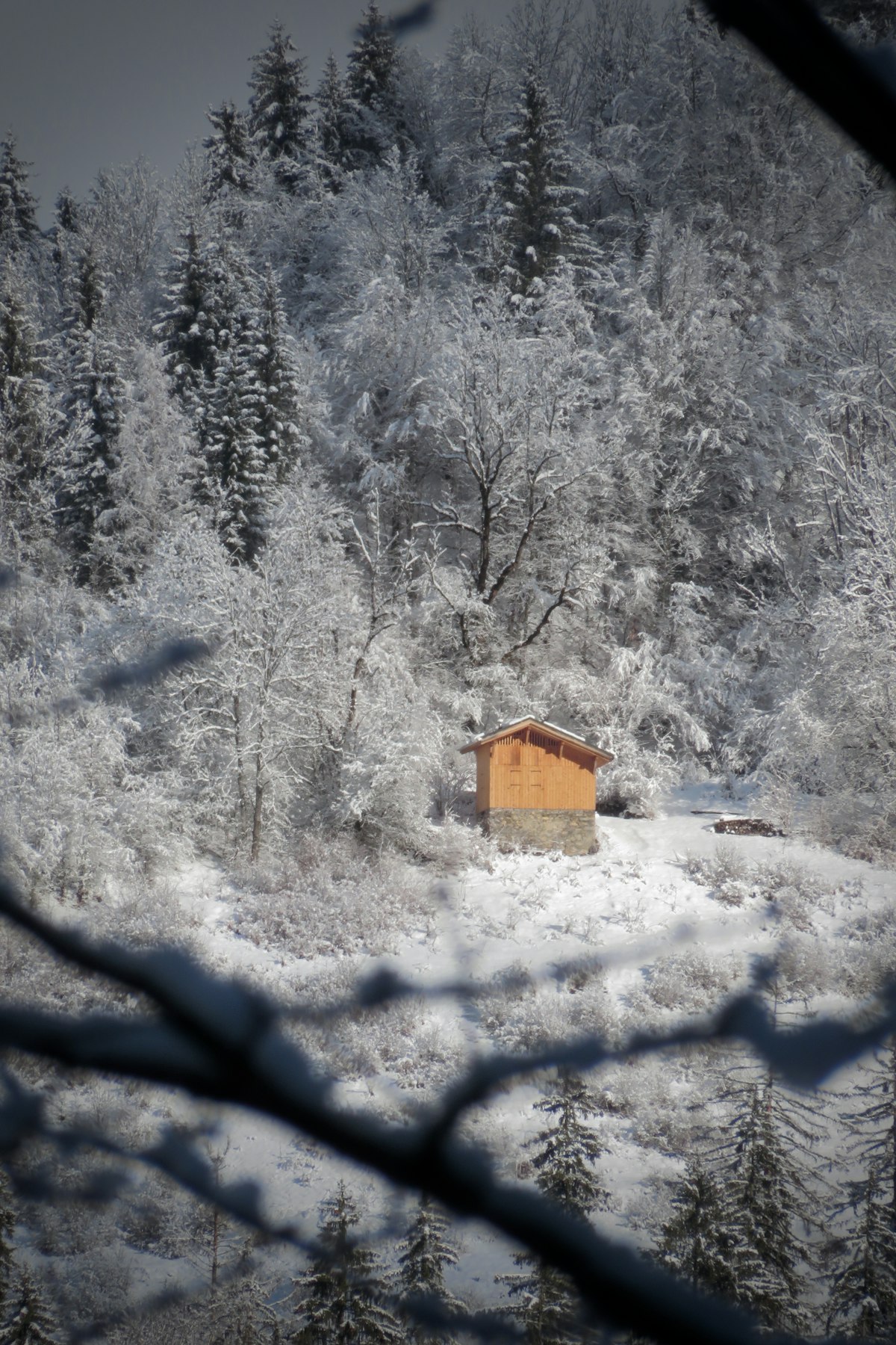 Cozy mountain cabin nestled in a snowy forest — the kind of retreat you will find near Stratton Mountain Vermont